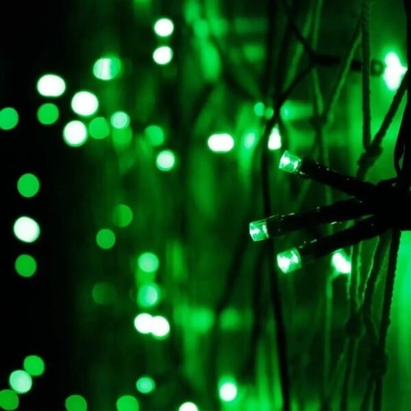 Cordão 100 Leds Fixo, com Strobo10m, prova d’água, conector M/F, cabo 2,2mm, Fio verde 220v